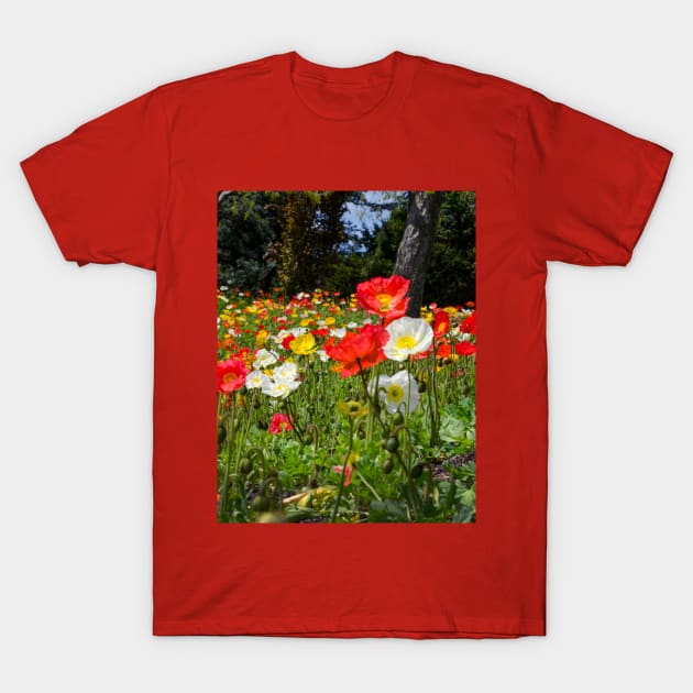 Colorful field of poppies T-Shirt by iyd39